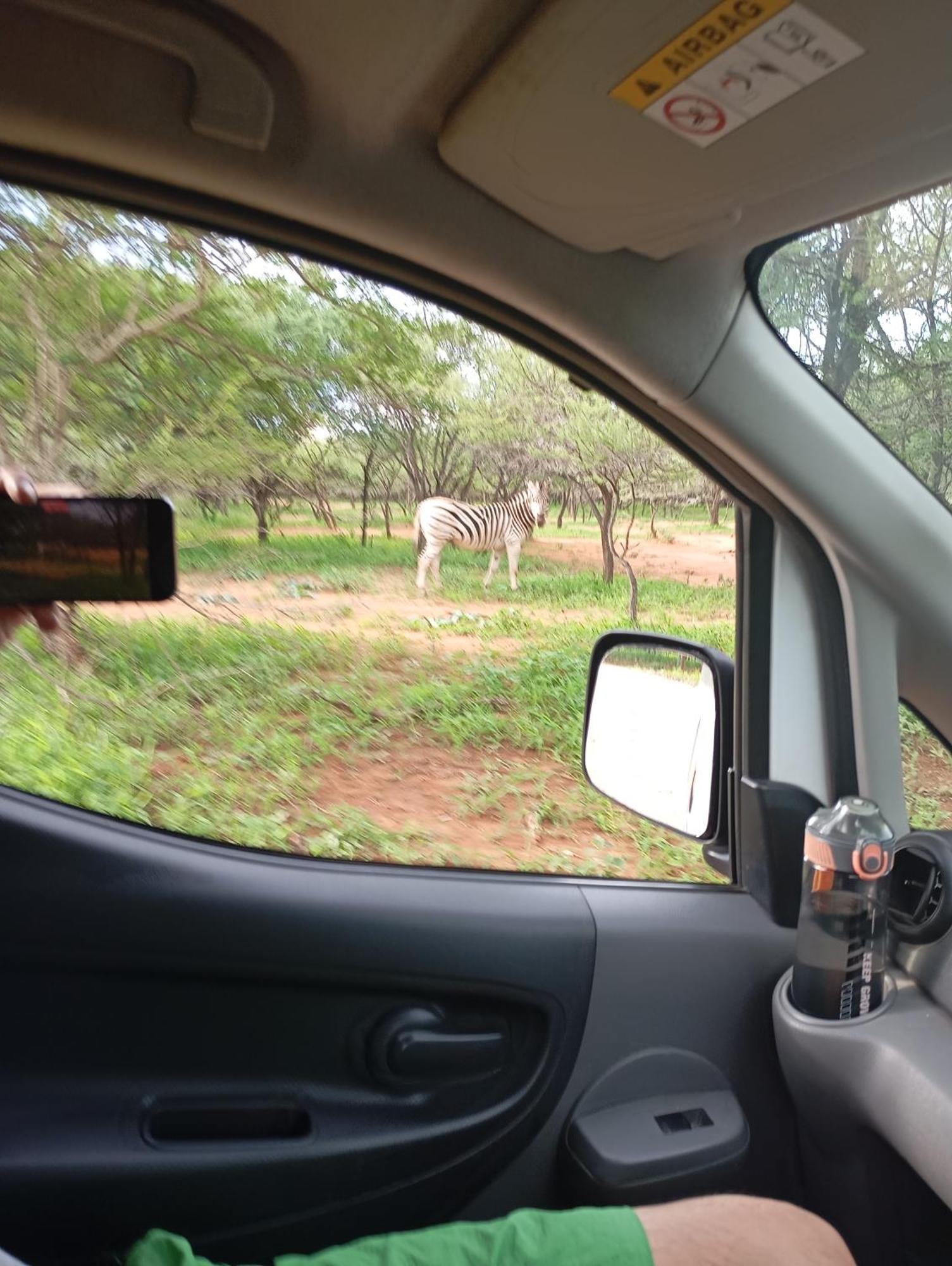 גאבורון Brackendene Lodge מראה חיצוני תמונה